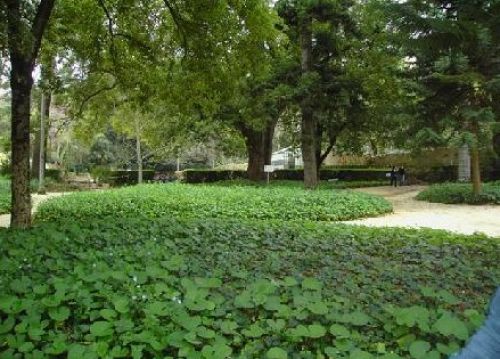 Quinta Das L&aacute;grimas