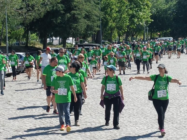 Caminhada pelo Ambiente e Animais em Coimbra: Um evento de sucesso que promoveu a sustentabilidade