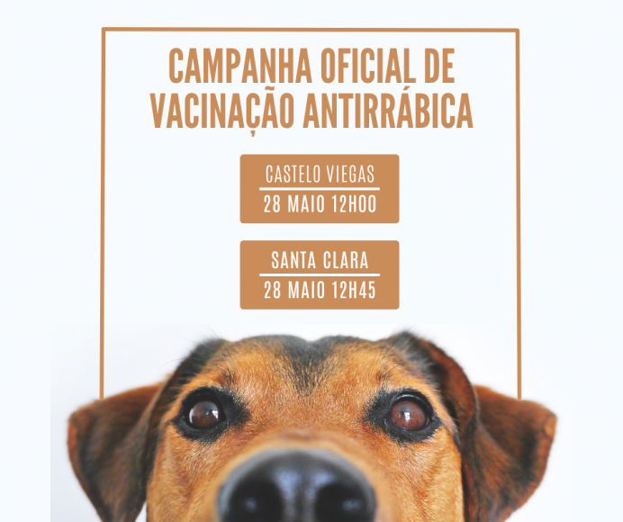 Campanha de Vacinação Antirrábica 2024 Campanha de Vacinação Antirrábica 2024