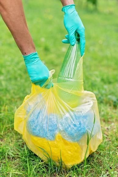 Sociedade Ponto Verde cria pr&eacute;mio "Junta-te ao Gerv&aacute;sio"